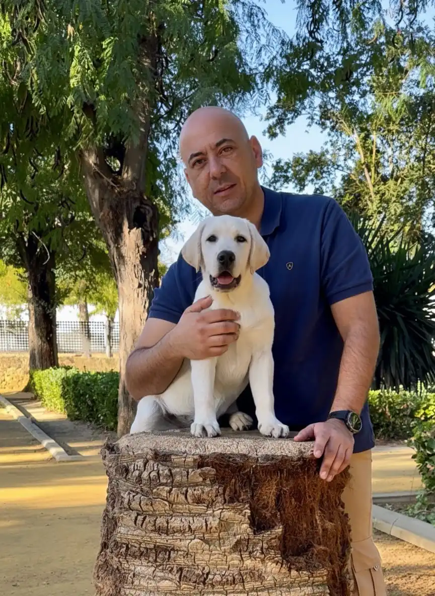 Pablo Luque